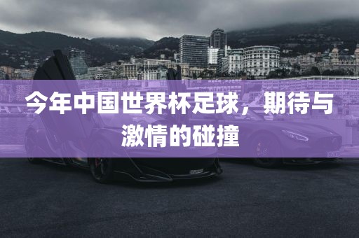 今年中国世界杯足球，期待与激情的碰撞