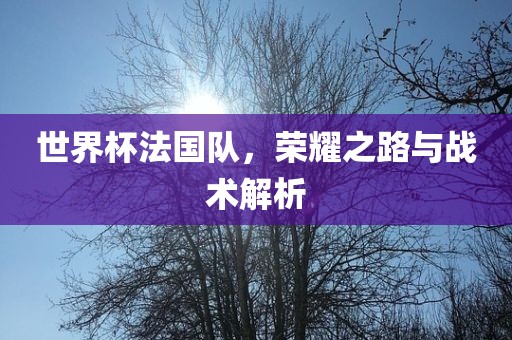 世界杯法国队，荣耀之路与战术解析