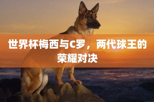 世界杯梅西与C罗，两代球王的荣耀对漯河市盈旭机械设备有限公司决