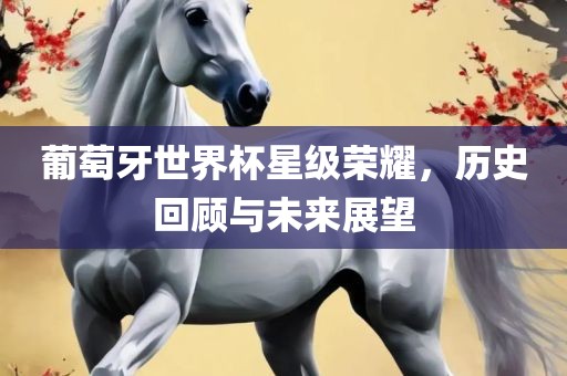 葡萄牙世界杯星级荣耀，历史回顾与漯河市盈旭机械设备有限公司未来展望