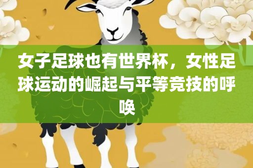 女子足球也有世界杯，女性足球运动的崛起与平等竞技的呼唤漯河市盈旭机械设备有限公司