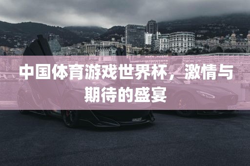 中国体育游戏世界杯，激情与期待的盛宴