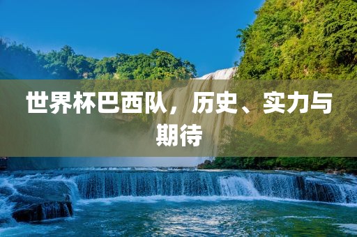世界杯巴西队，历史、实力与期待