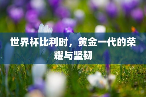 世界杯比利时，黄金一代的荣耀与坚韧