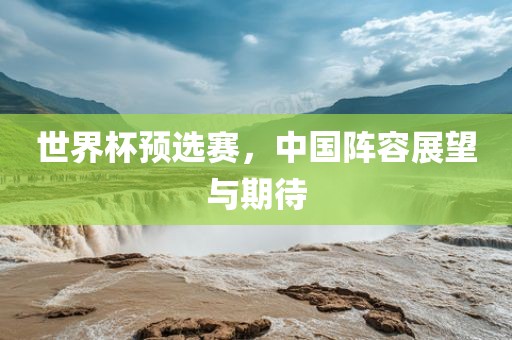 世界杯预选赛，中国阵容展望与期待