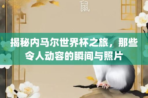 揭秘内马尔世界杯之旅，那些令人动容的瞬间与照片