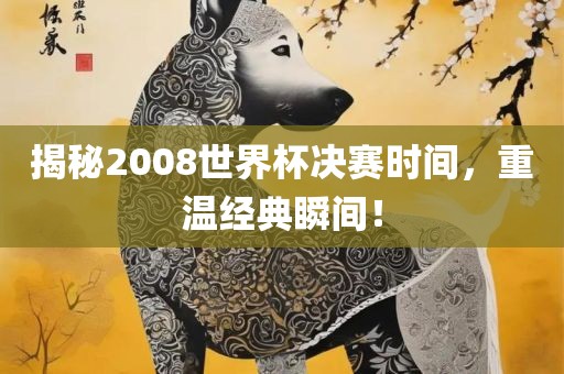 揭秘2008世界杯决赛时间，重温经典瞬间！漯河市盈旭机械设备有限公司