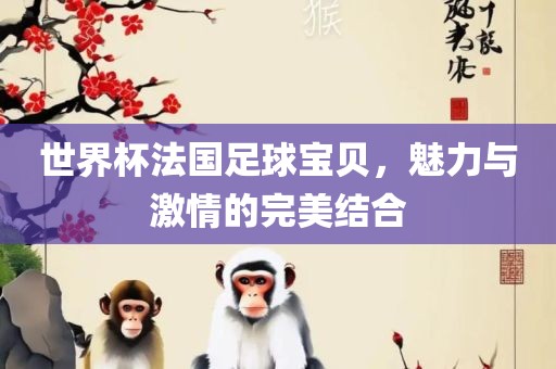 世界杯法国足球宝贝，魅力与激情的完美结合