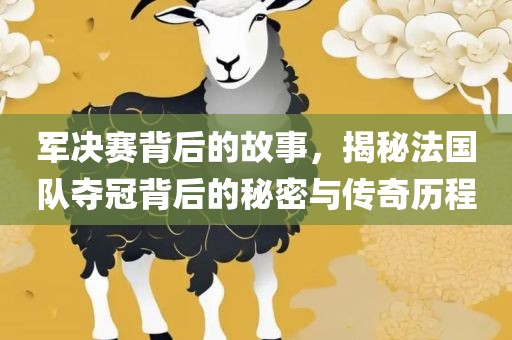 军决赛背后的故事，揭秘法国队夺冠背后的秘密与传奇历程漯河市盈旭机械设备有限公司