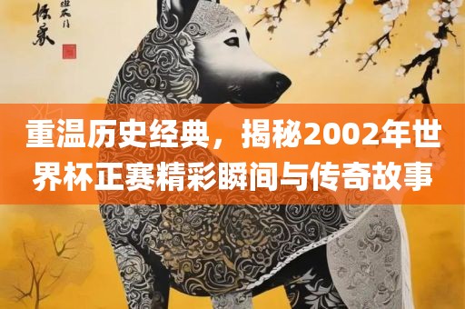 重温历史经典，揭秘2002年世界杯正赛精彩瞬间与传奇故事
