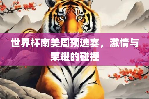 世界杯南美周预选赛，激情与荣耀的碰撞