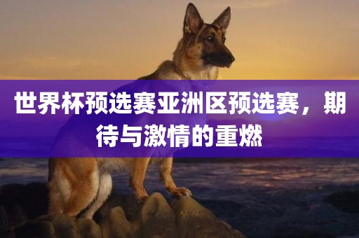 世界杯预选赛亚洲区预选赛，期待与激情的重燃