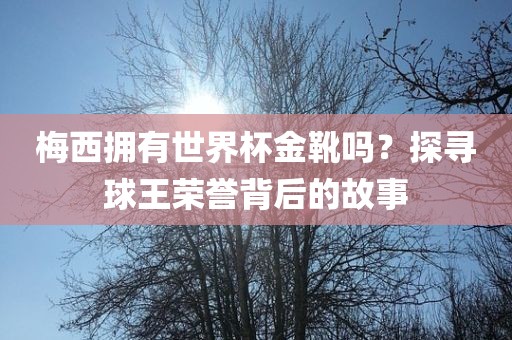 梅西拥有世界杯金靴吗？探寻球王荣誉背后的故事