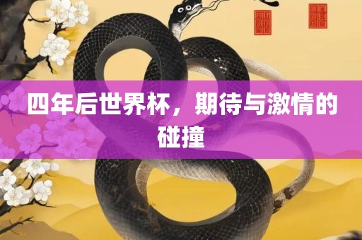 四年后世界杯，期待与激情的碰撞