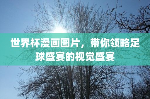 世界杯漫画图片，带你领略足球盛宴的视觉盛宴