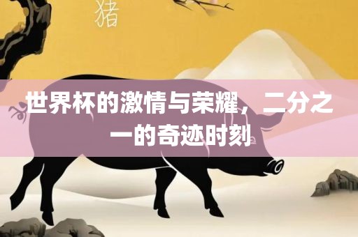 世界杯的激情与荣耀，二分之一的奇迹时刻
