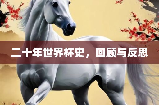 二十年世界杯史，回顾与反思