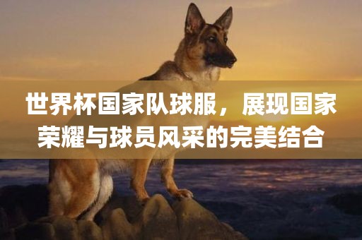 世界杯国家队球服，展现国家荣耀与球员风采的完美结合