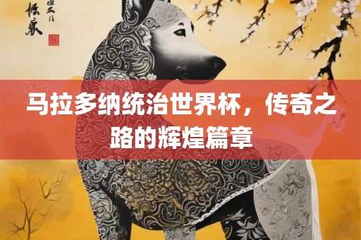 马拉多纳统治世界杯，传奇之路的辉煌篇章