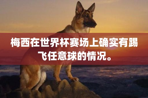 梅西在世界杯赛场上确实有踢飞任意球的情况。