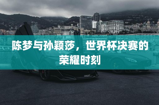 陈梦与孙颖莎，世界杯决赛的荣耀时刻
