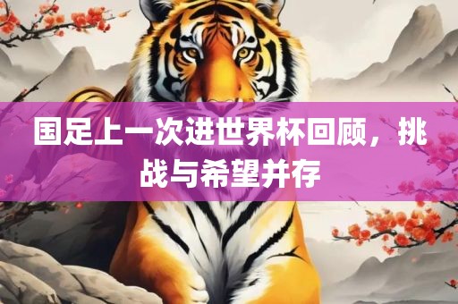 国足上一次进世界杯回顾，挑战与希望并存