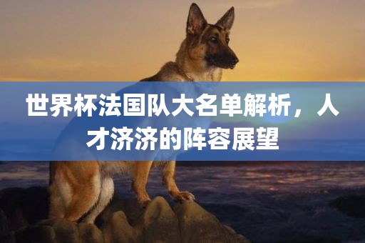 世界杯法国队大名单解析，人才济济的阵容展望