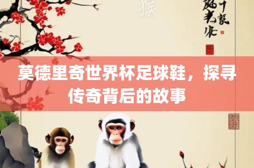 莫德里奇世界杯足球鞋，探寻传奇背后的故事