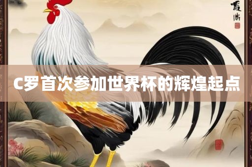 C罗首次参加世界杯的辉煌起点漯河市盈旭机械设备有限公司