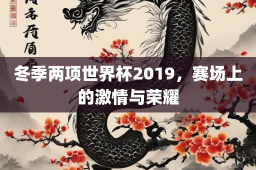 冬季两项世界杯2019，赛场上的激情与荣耀