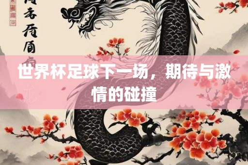 世界杯足球下一场，期待与激情的碰撞