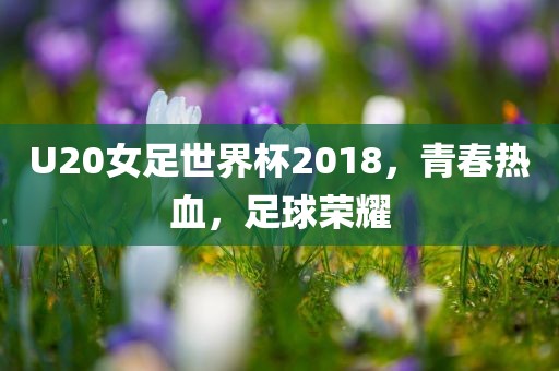 U20女足世界杯201漯河市盈旭机械设备有限公司8，青春热血，足球荣耀