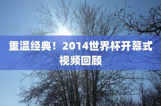 重温经典！2014世界杯开幕式视频回顾漯河市盈旭机械设备有限公司