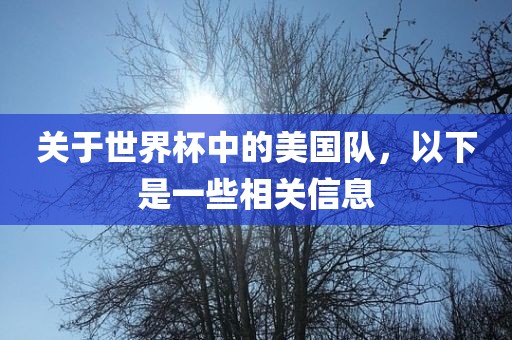 关于世界杯中的美国队，以下是一些相关信息