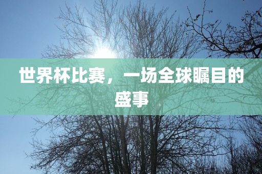 世界杯比赛，一场全球瞩目的盛事
