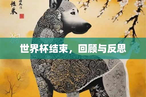 世界杯结束，回顾与反思
