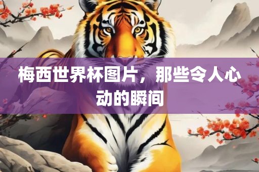 梅西世界杯图片