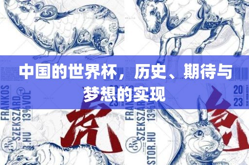 中国的世界杯，历史、期待与梦想的实现