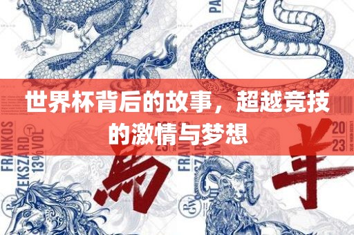 世界杯背后的故事，超越竞技的激情与梦想