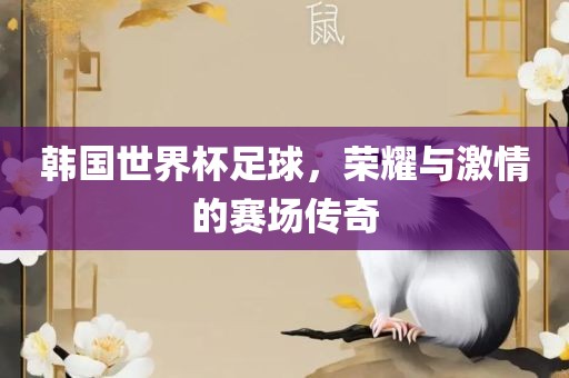 韩国世界杯足球，荣耀与激情的赛场传奇