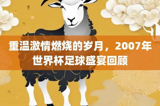 重温激情燃烧的岁月，2007年世界杯足球盛宴回顾