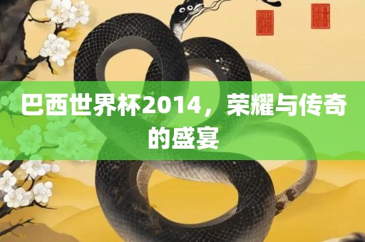 巴西世界杯2014，荣耀与传奇的盛宴