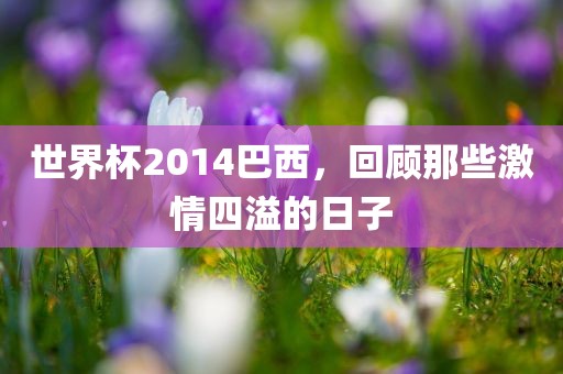 世界杯2014巴西，回顾那些激情四溢的日子