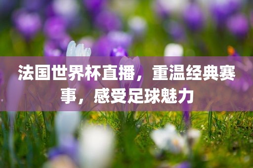 法国世界杯直播，重温经典赛事，感受足球魅力