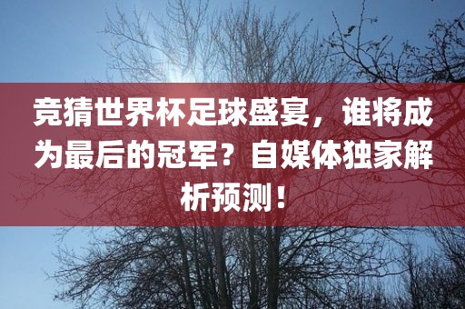 竞猜世界杯足球盛宴，谁将成为最后的冠军？自媒体独家解析预测！
