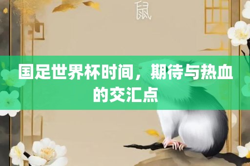 国足世界杯时间，期待与热血的交汇点