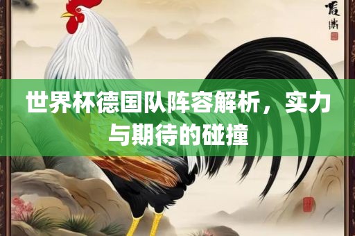 世界杯德国队阵容解析，实力与期待的碰撞