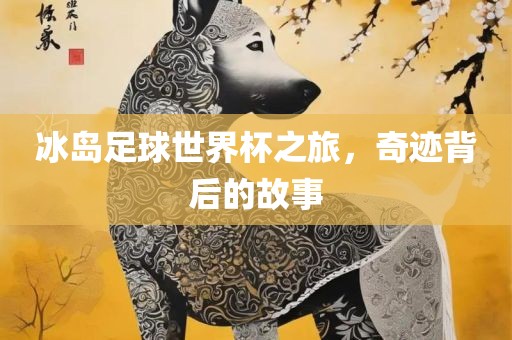 冰岛足球世界杯之旅，奇迹背后的故事