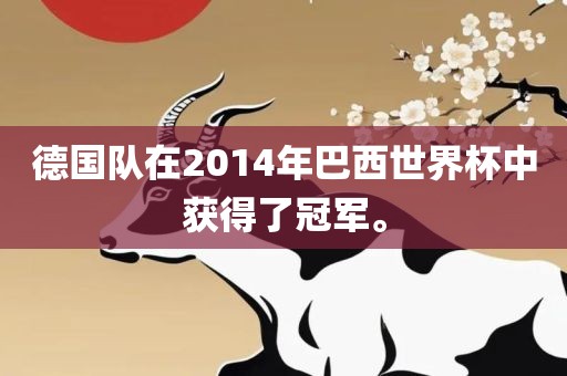 德国队在2014年巴西世界杯中获得了冠军。
