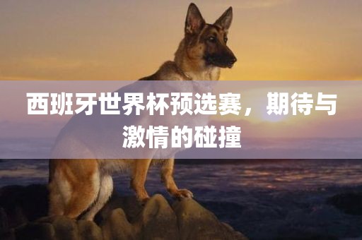 西班牙世界杯预选赛，期待与激情的碰撞